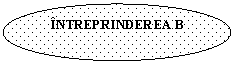 Oval: NTREPRINDEREA B